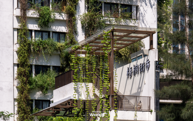 “深圳最能打的环湖小村,含绿量99%”