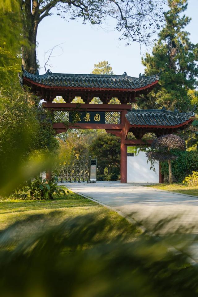 东湖秋日图鉴③｜磨山秋笺：一叶一诗，帧帧藏秋韵