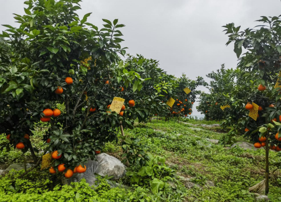永川“留娃”去处上新→