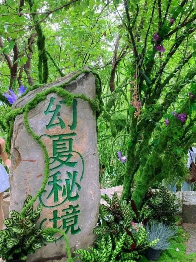 山东沂水：让每寸山水都成为文旅名片