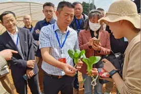 盘龙区政协对绿色有机农业发展情况开展重点调研图片