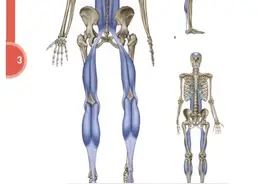 低成本抗衰，强烈推荐这个小技巧！在家就能做图片