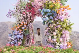 山东文旅推出“上春山”活动激活春日文旅市场图片