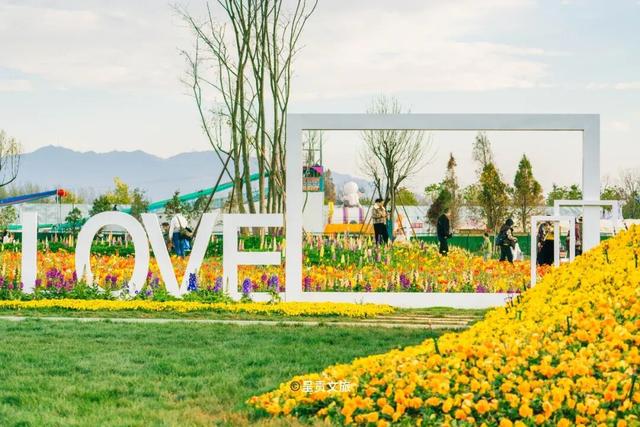 走进斗南七彩花海，看一场春天的盛大绽放