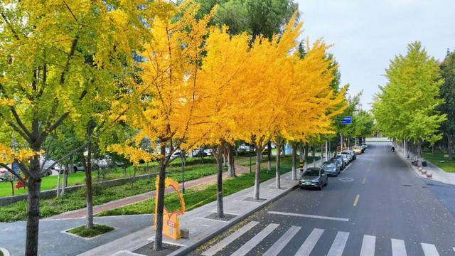 绝美！走，打卡去！