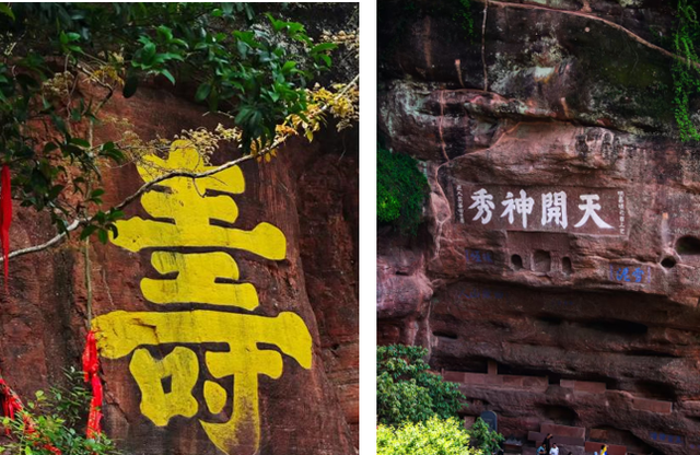 月识植物三百种，不辞长作岭南人：齐云山植物行