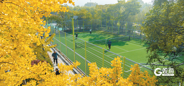青岛“公园+体育”：人景相融“动”起来