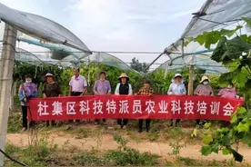 毕燕飞：不爱红装爱农装 争做巾帼新农人图片