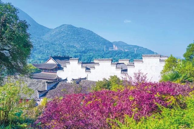 湖北一地宣布：凭球票免费游景区