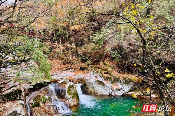 岁暖时刻丨光雾山诺水河那片秋末初冬的景色好撩人