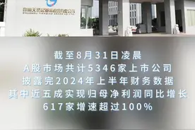 湘股2024半年报利润增幅榜，“增长王”是天桥起重图片