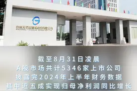湘股2024半年报利润增幅榜，“增长王”是天桥起重图片
