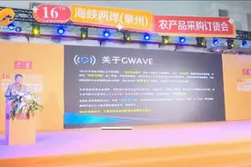 南安：新产品新项目亮相 助推预制菜产业发展图片