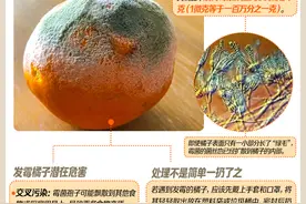 交易帖涌现！发霉的橘子也能卖钱？接触要当心这类霉菌图片