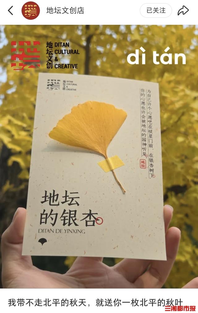 留住秋冬暖色，大家爱上“买树叶”|消费新观察