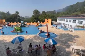 持续高温下巴西登革热疫情蔓延，旅游业遭遇打击图片