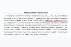 电力央企资产重组动作频频 电投能源拟收购白音华煤电100%股权图片