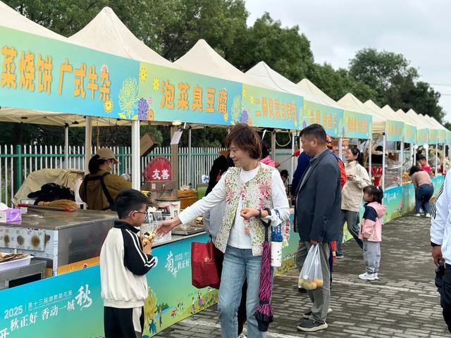 顶流上线，快来湖熟赏菊