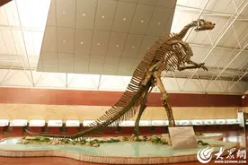 龙年“五一”假期，潍坊诸城邀您共赴恐龙文化盛宴图片