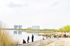 【图说新闻】金水湖畔风光旖旎图片