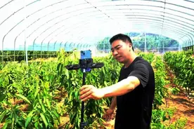 车家村：筑巢引能人，聚才助振兴图片