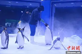 长沙湘江欢乐海洋公园开园 打造文旅消费新地标图片