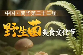 吃货请注意！这才是夏天菌子的正确打开方式图片