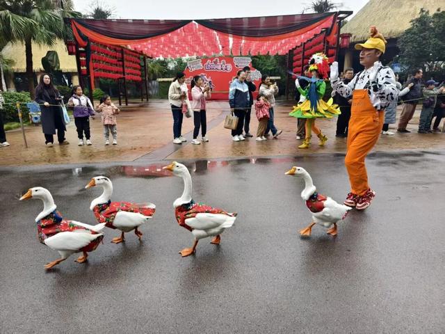 亲~~免费游乐和乐都的机会来了！