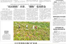群芳争艳香溢春日图片