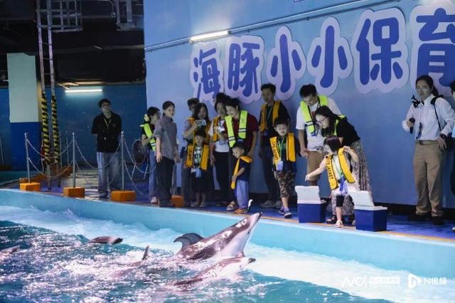 长隆飞船乐园携手携程共创沉浸式研学新体验