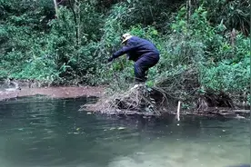 博主进山“被蛟盯上”？游客涌入哀牢山致堵车！当地民宿涨到2.6倍图片