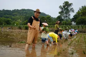 县域新气象丨崇州为乡土“能人”打开人才认定“大门”图片