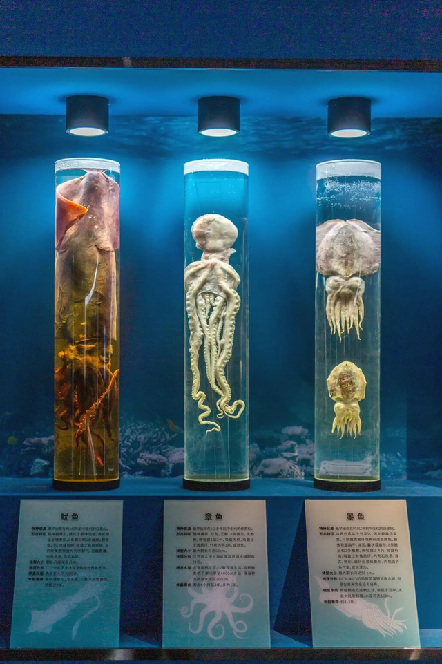 连休五天，浙L大部队已到……