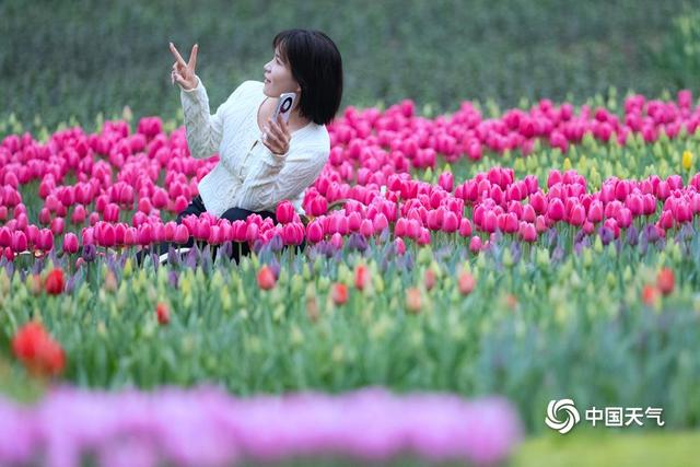妇女节：天晴繁花映芳华 春风十里不负她