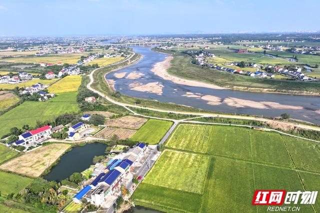 秋游时刻丨粮安天下，韵满双江——宁乡这个镇的乡村诗意太动人