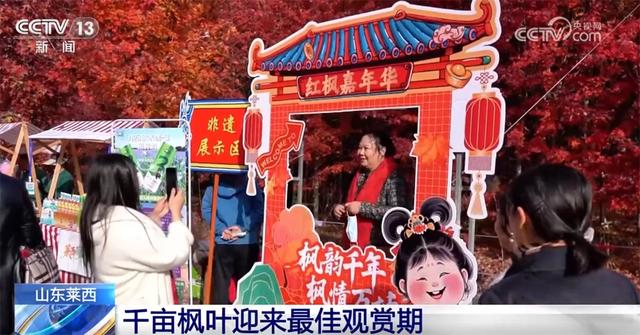 特色“赏秋游”澎湃“秋日经济”新动能 “文旅+”成为激发消费新引擎