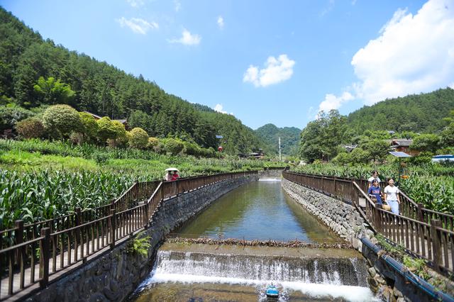 印江：梵净山下乡村避暑康养游清凉出圈