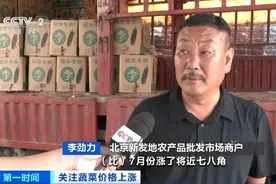 黄瓜、萝卜、生菜……家常蔬菜价格大幅上涨！还会再涨吗→图片