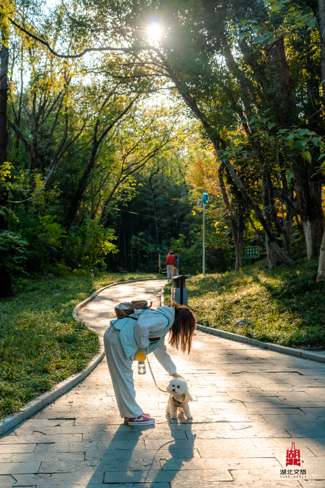 抓住晴天尾巴，徒步青龙山！