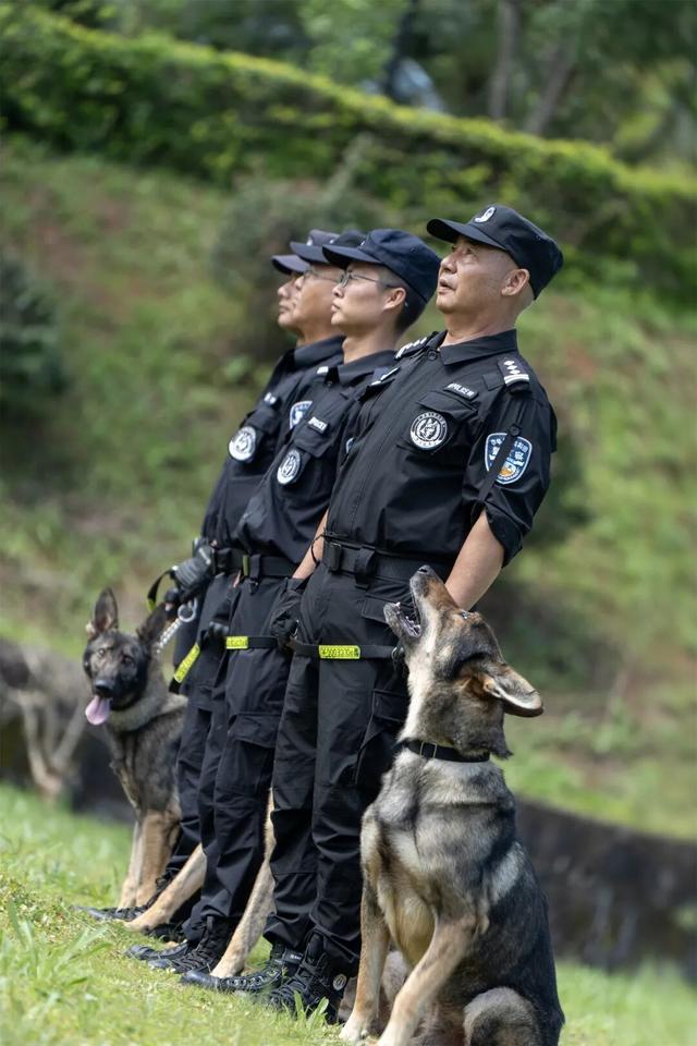 二级英模！功勋犬训导员！