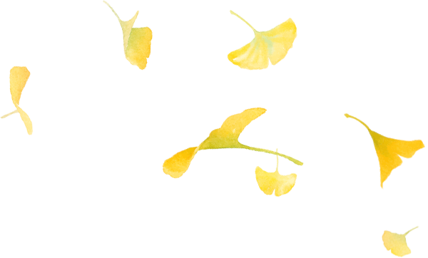 叙永“天府树王”迎最佳观赏期 游玩攻略请查收