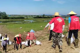 安徽当涂：水不退人不退，共守一城安澜图片