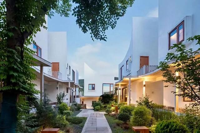 一只鸭的温暖远行 | 从金陵出发，把江苏千年带到你面前