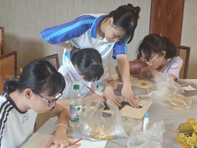 东寨港红树林研学进行时，自然课堂里的欢乐时光～