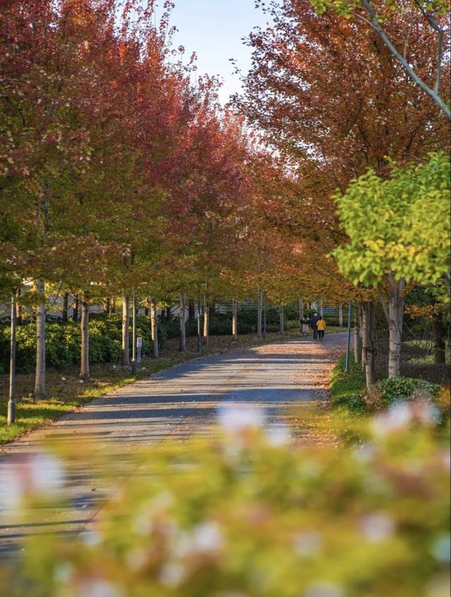 网红纷纷奔赴这！上海这座通往 “欧洲城堡” 的绝美旋梯火了！
