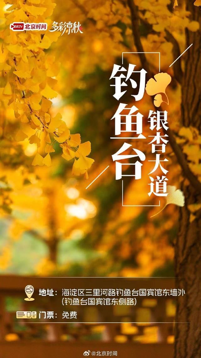 北京十大赏银杏好去处，这三处免费，您都去过吗？