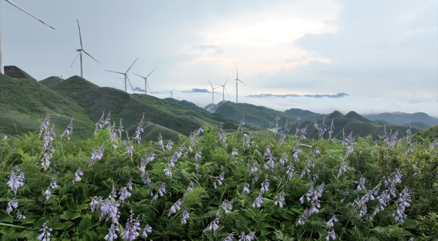 经济政策一线微观察｜氛围感 体验感 获得感