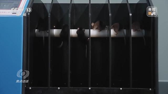 焦点访谈丨中国航天奏响新乐章 神二十一有接力更有突破！