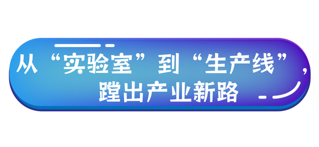 55.6%，全省第三！
