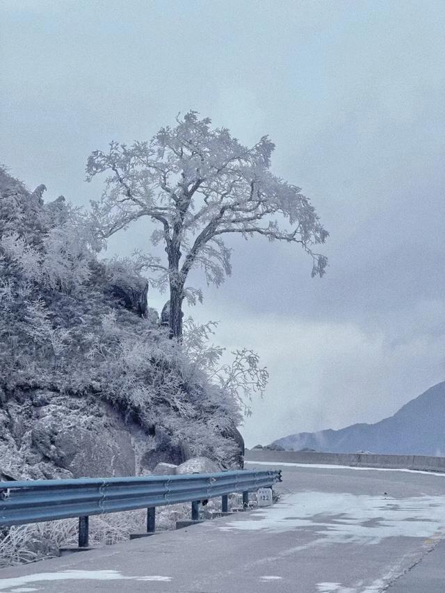 暖身又暖心!8条自驾线路带你在广西反向过冬→